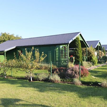Domki Green Grzybowo Grzybowo  Exterior foto